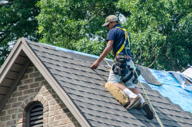 Professional Roofing Contractor in Oak Forest, IL